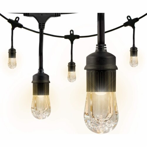 Fred meyer clearance string lights