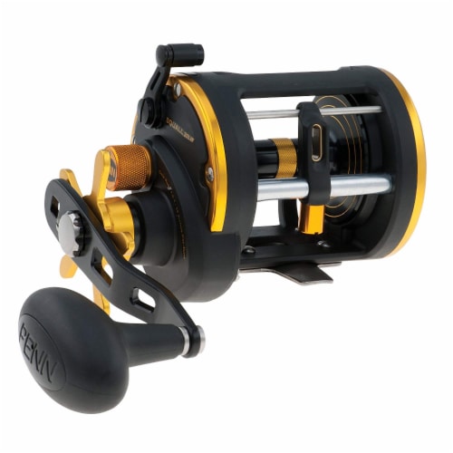 Penn SQL20LW Squall Levelwind Saltwater Fish Trolling Fishing Reel