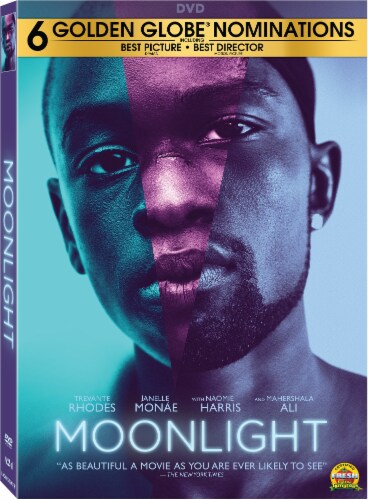 Moonlight (2016 - DVD) Perspective: front