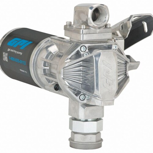 Gpi Fuel Transfer Pump,HP 3/8,12VDC  G20-012PO Perspective: front