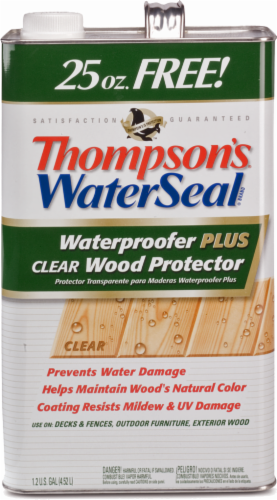 Thompson's® WaterSeal® Waterproofer + Clear Wood Protector Perspective: front