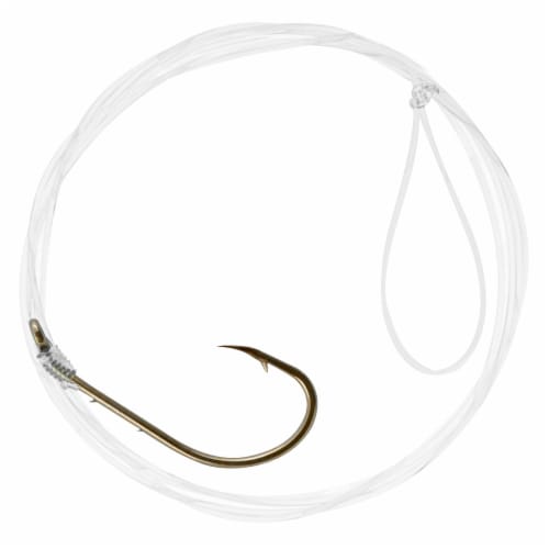 Danielson Size 6 Snelled Baitholder Hook Perspective: front
