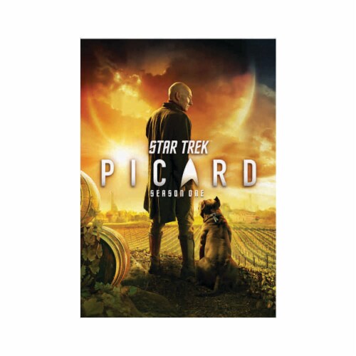 Star Trek Picard: Season One (DVD) Perspective: front