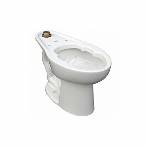 American Standard BedpanHolding ToiletBowl,Elongated,Floor  3462001.020 Perspective: front