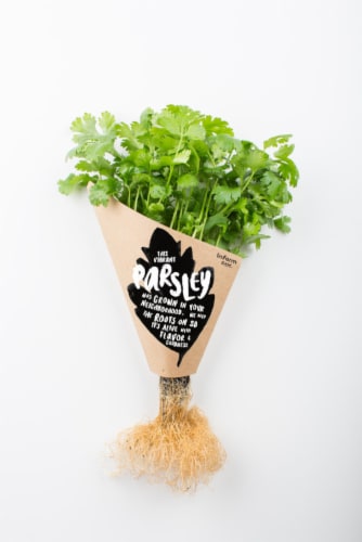 InFarm Parsley Perspective: front