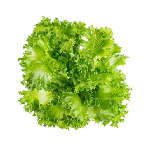InFarm Crystal Lettuce Perspective: front