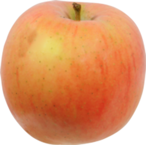 Fuji Apples Perspective: front