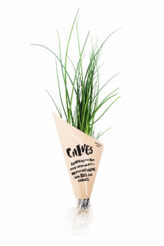 InFarm Chives Perspective: front
