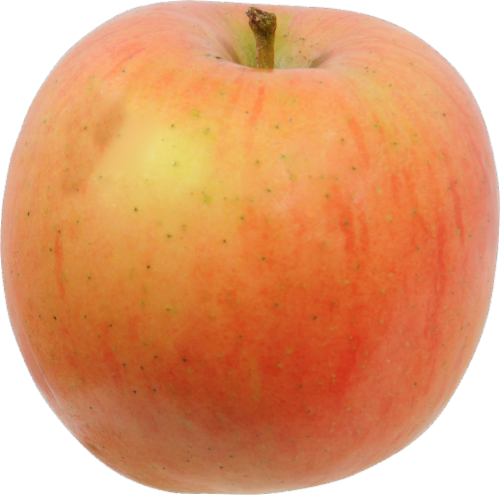 Organic Fuji Apples Perspective: front