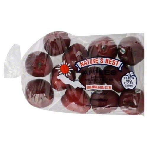 Large Red Delicious Apple - Each, Large/ 1 Count - Kroger