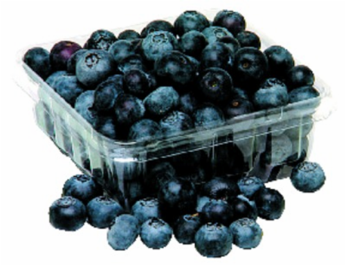Blueberries Perspective: front