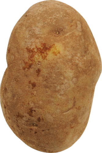 Russet Potatoes Perspective: front
