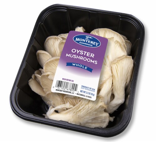 Oyster Mushrooms Perspective: front