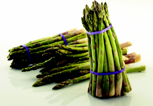 Green Asparagus Perspective: front