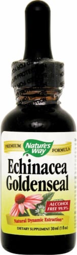 Nature's Way  Echinacea Goldenseal Perspective: front