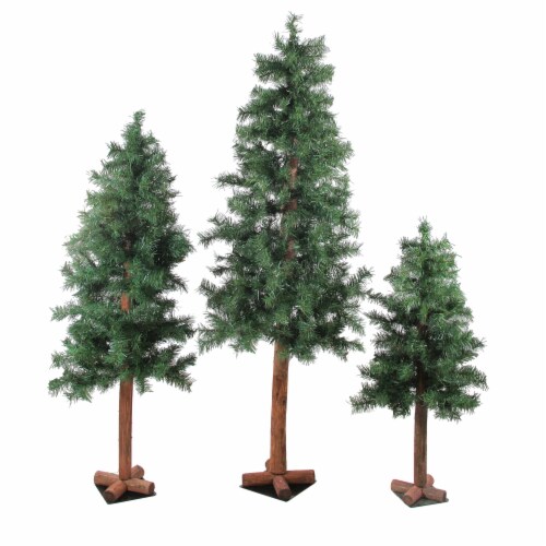 Northlight Set of 3 Slim Woodland Alpine Artificial Christmas Trees 5' - Unlit Perspective: front