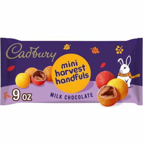 CADBURY Mini Harvest Handfuls Milk Chocolate Halloween Candy Bag Perspective: front