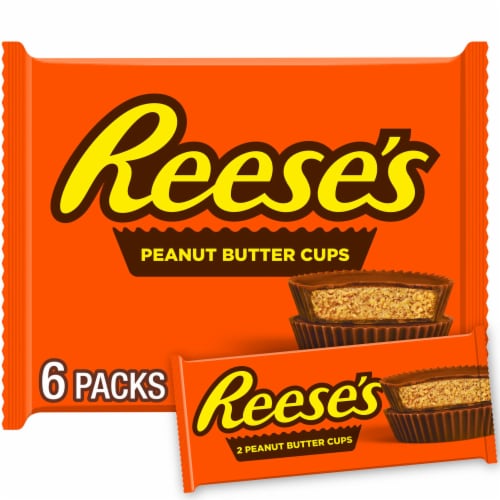 REESE’S Milk Chocolate Peanut Butter Cups S’mores Candy Bars