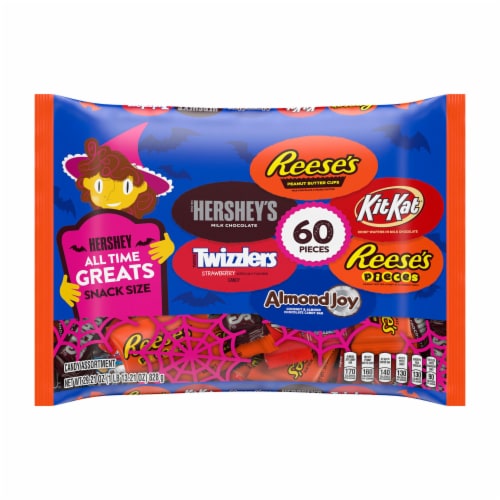 Hershey Assorted Chocolate Peanut Butter Fruit Flavored Snack Size Candy Halloween Variety Bag Perspective: front