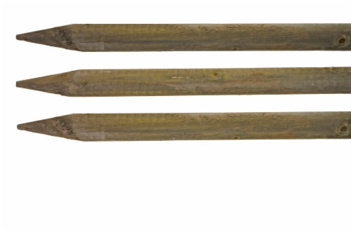 Bond Lodge Pole Stake - Brown Perspective: front