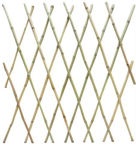 Miracle Gro Bamboo Fence Trellis Perspective: front