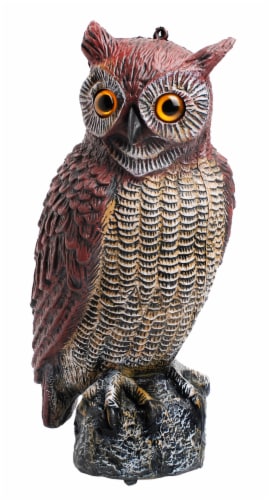 Bond Owl Decoy - Brown Perspective: front