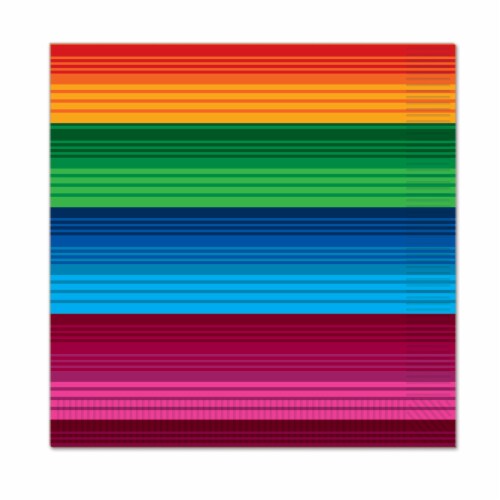 Beistle Co Cinco de Mayo Fiesta Luncheon Napkins Perspective: front