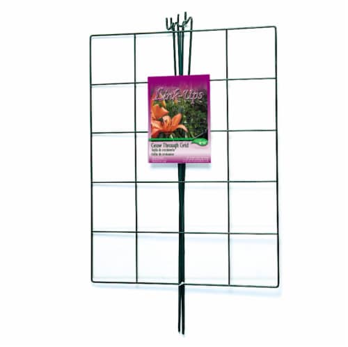 Luster Leaf Link-Ups Grow Through Grid Plant Support, 1 ct - Baker's