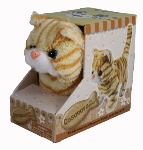 Casanova The Mechanical Kitten - Orange Striped Perspective: front