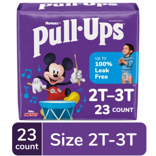 Pull-Ups Learning Designs Boys' Potty Training Pants 2T-3T (16-34