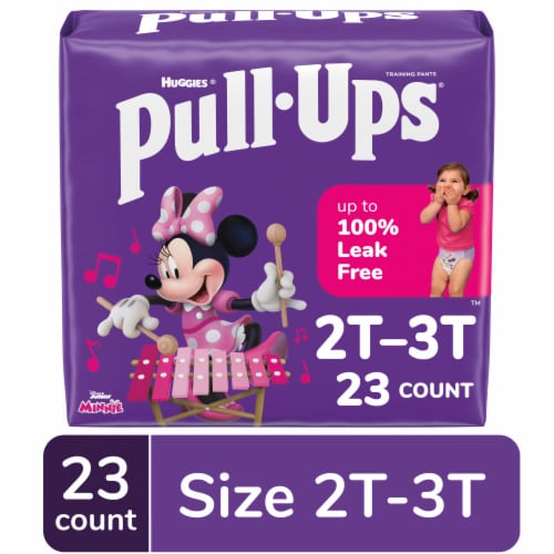 Pull-Ups Learning Designs Girls' Potty Training Pants 2T-3T (16-34 lbs) Perspective: front