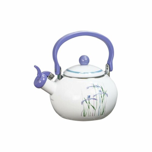 Reston Lloyd 2 qt Shadow Iris Teakettle Perspective: front