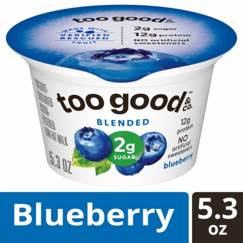 Too Good & Co. Blueberry Yogurt-Cultured Ultra-Filtered Low Fat Milk Product Cup Perspective: front