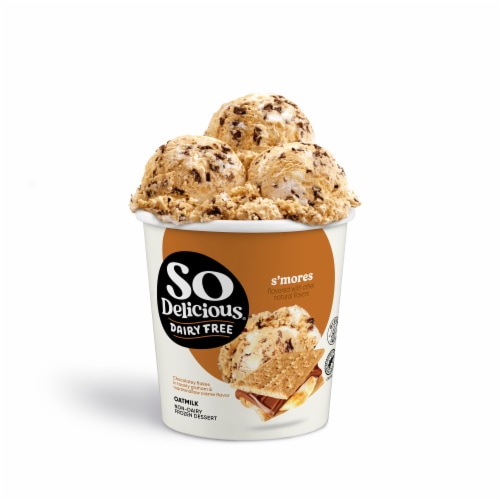 So Delicious Dairy Free S’mores Oat Milk Frozen Dessert Carton Perspective: front