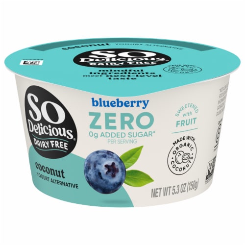 SO Delicious® Dairy Free Blueberry Coconut Milk Yogurt Perspective: front