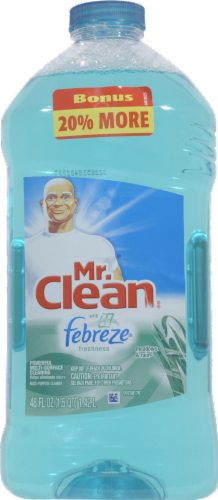 Mr. Clean Meadows & Rain Multi-Surface Cleaner Perspective: front