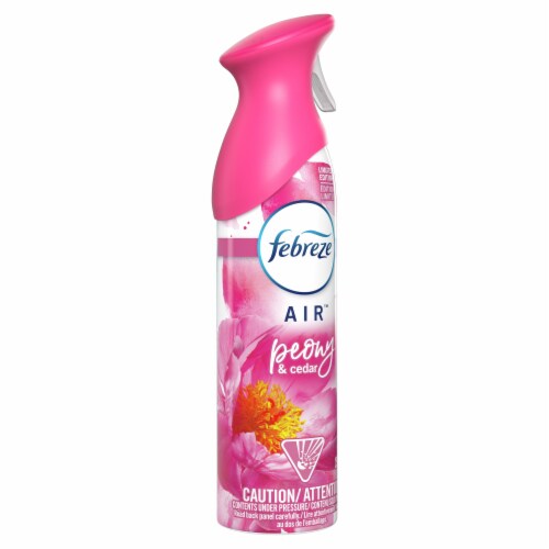 Febreze AIR Peony & Cedar Air Refresher Perspective: front