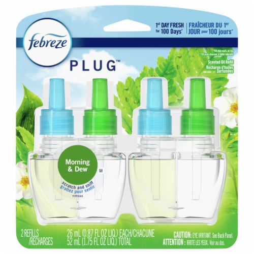 Febreze Meadows and Rain Air Freshening Wax Melts, 2.75 Oz - Kroger