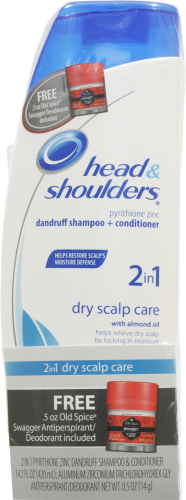 Head & Shoulders 2 in 1 Dry Scalp Care Shampoo & Conditioner Perspective: front