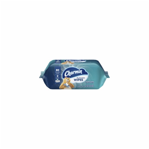 Charmin Flushable Wipes