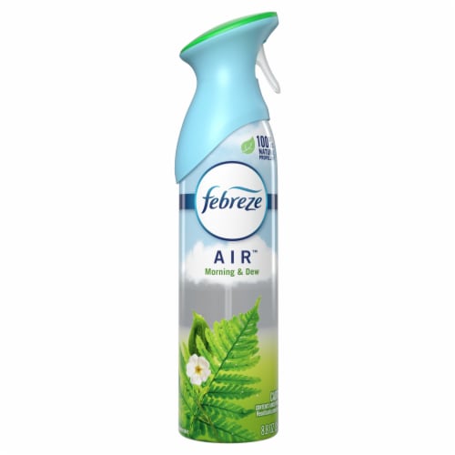 Febreze Air™ Morning & Dew Air Freshener Perspective: front
