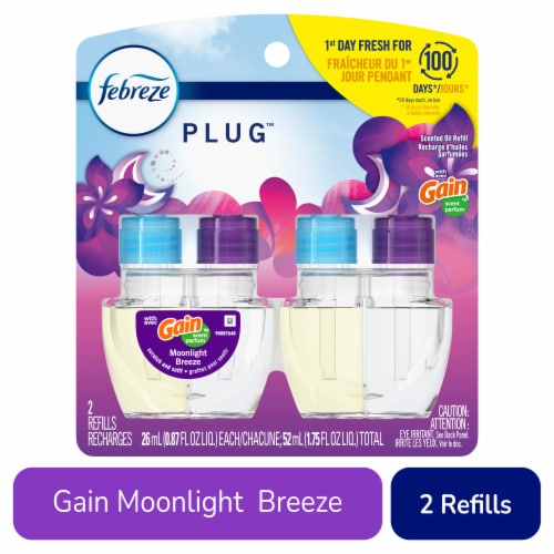 Febreze Plug Fade Defy 0.87 oz. Linen and Sky Scent Plug-In Air