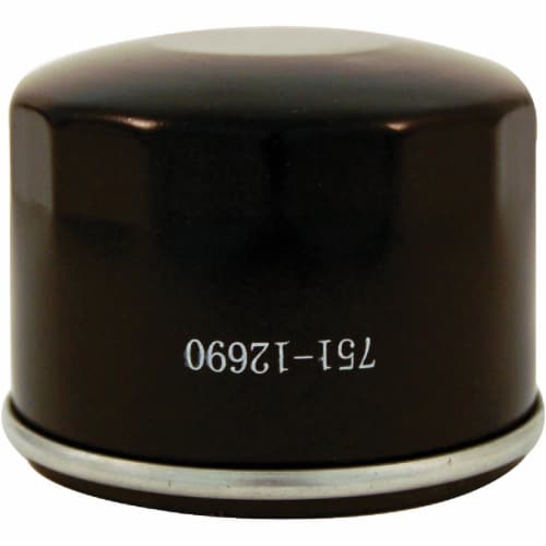 TroyBilt Powermore Oil Filter 4902010010, 1 Ralphs