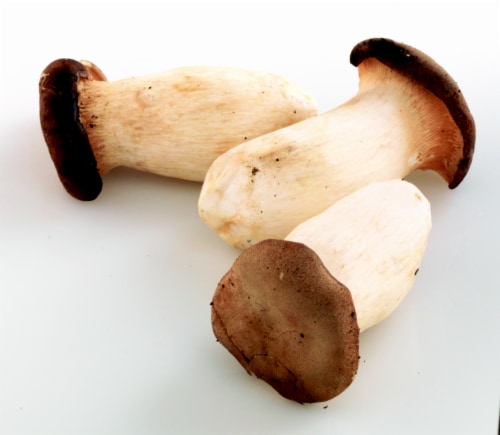 King Trumpet Mushrooms Perspective: front