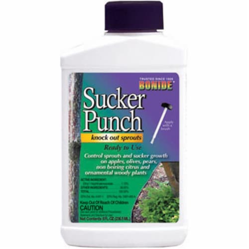 Bonide Products 276 8 oz. Ready To Use Sucker Punch Brush Top Perspective: front