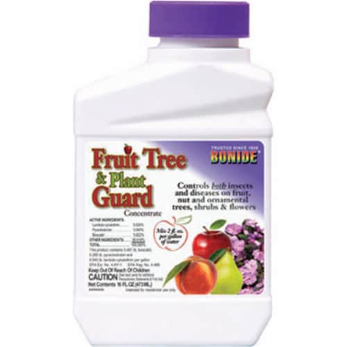 Bonide Products 2021 Concentrate Fruit Tree & Plant Guard- PT Perspective: front