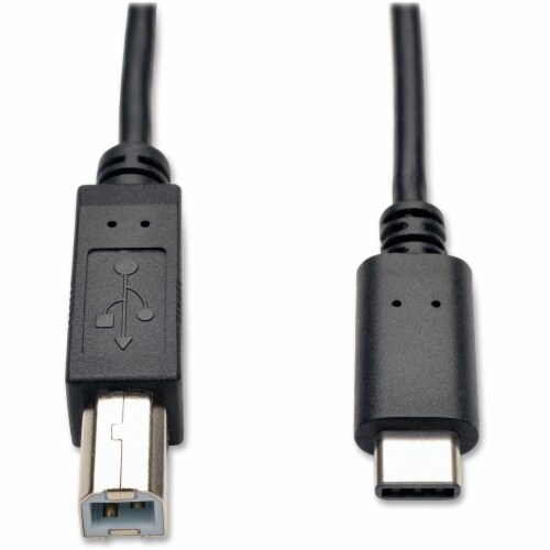 Tripp Lite  Data Transfer Cable U040006 Perspective: front