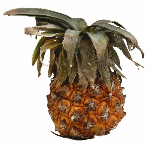 Baby Pineapple