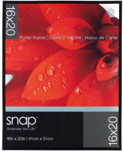 Pinnacle Snap 16 x 20 Poster Frame - Black Perspective: front