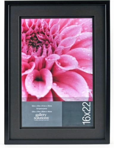 Pinnacle Gallery Solutions Picture Frame - Black Perspective: front